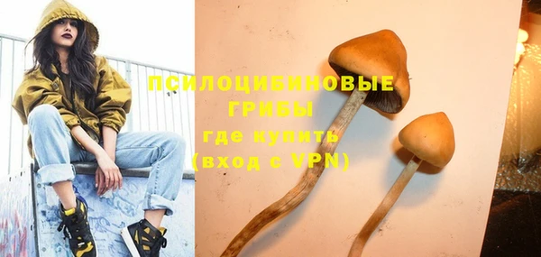 крисы Арсеньев