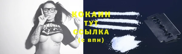крисы Арсеньев