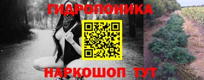ALPHA-PVP Камышлов