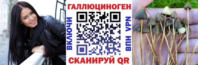 Галлюциногенные грибы Magic Shrooms  Барабинск 