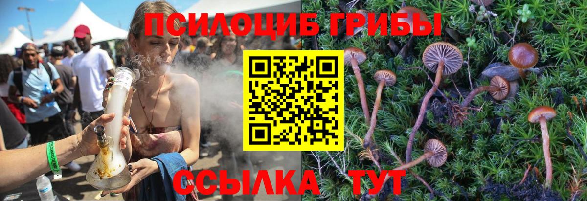 Галлюциногенные грибы Cubensis Барабинск
